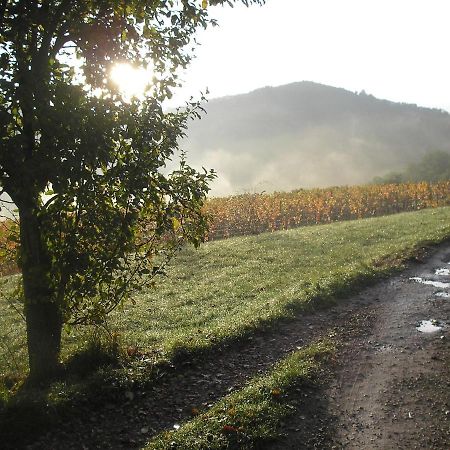 Grange Renovee En Pleine Nature Valady Exterior foto