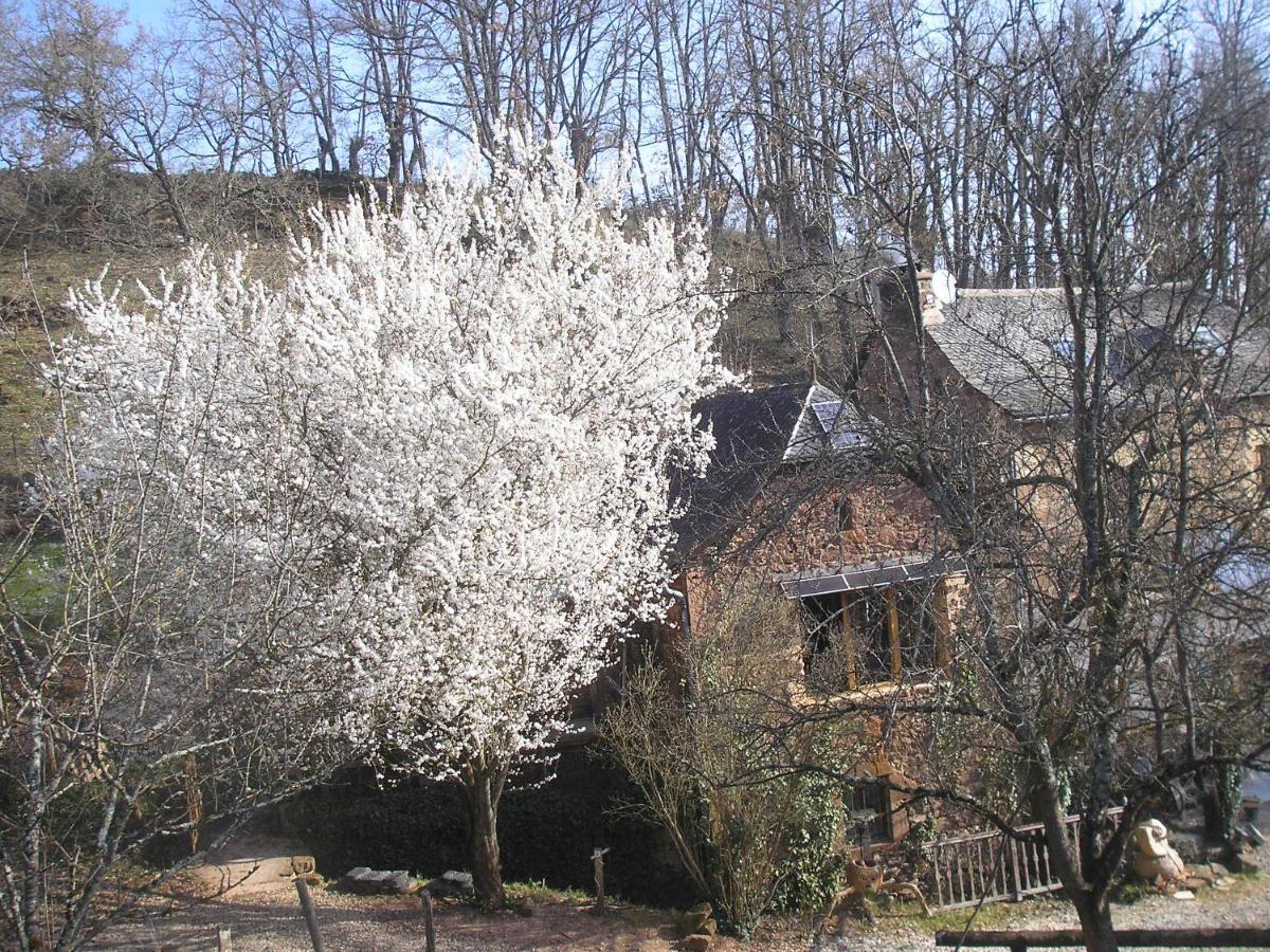 Grange Renovee En Pleine Nature Valady Exterior foto