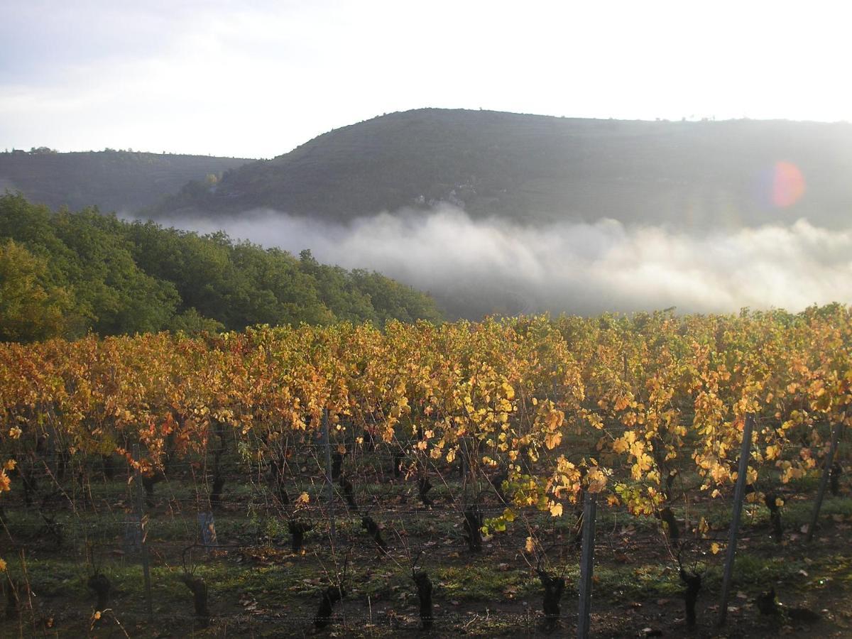Grange Renovee En Pleine Nature Valady Exterior foto