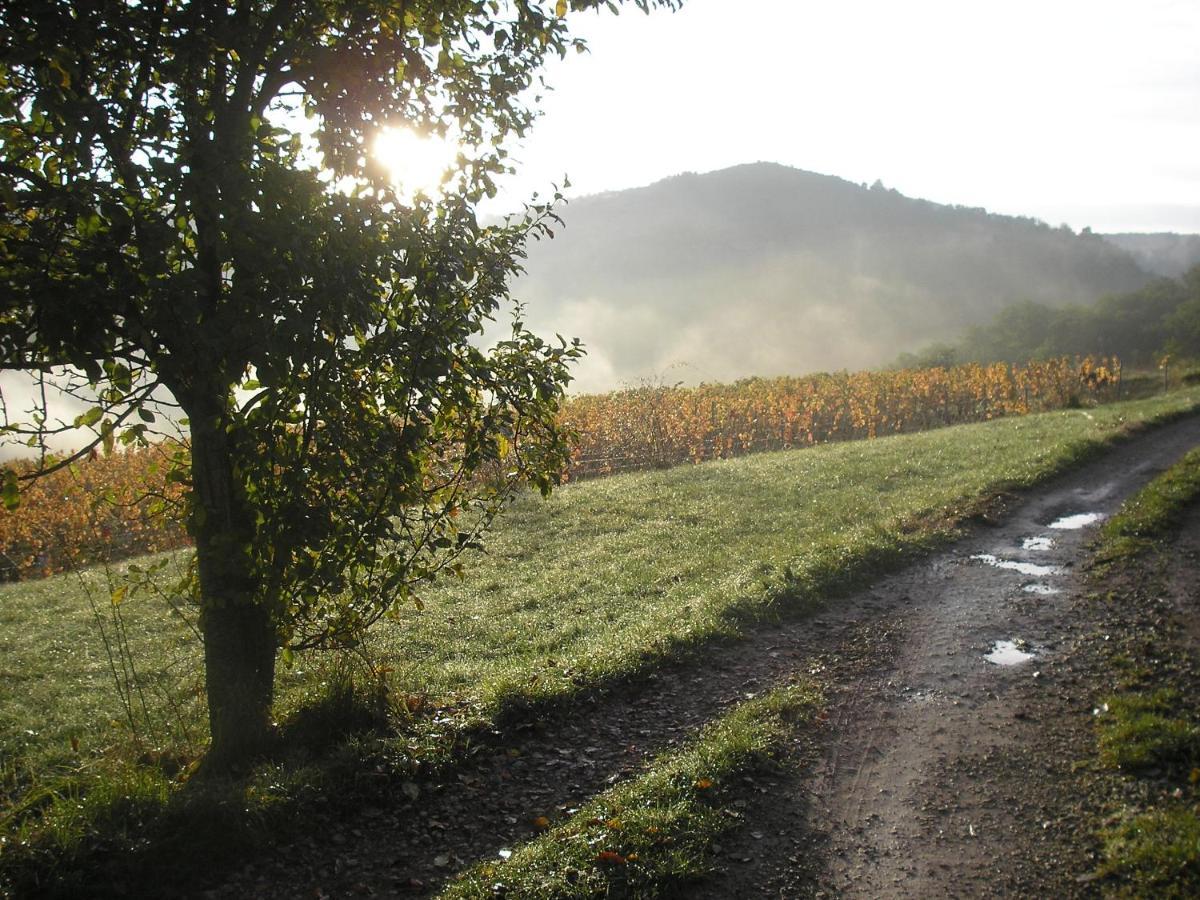 Grange Renovee En Pleine Nature Valady Exterior foto